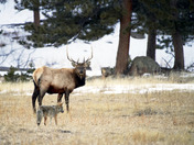 Rocky Mountain National Park