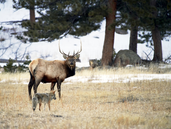 Rocky Mountain National Park
