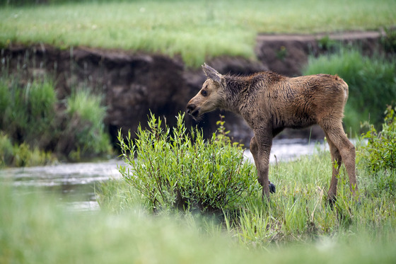 Rocky Mountain National Park