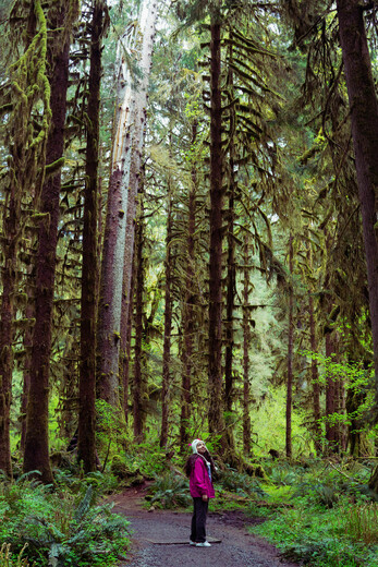 Olympic National Park