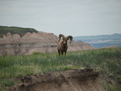 Badlands National Park