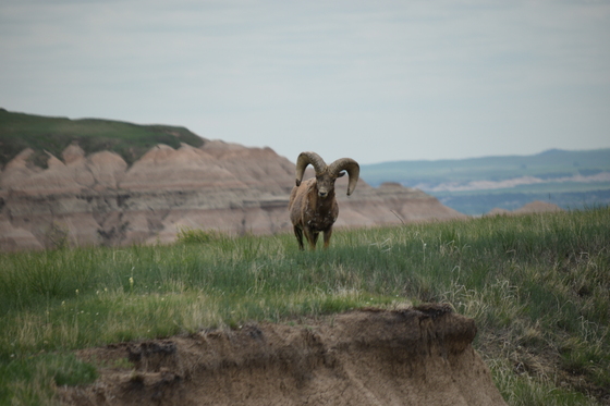 Badlands National Park