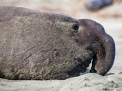 Point Reyes National Seashore