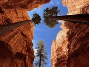 Bryce Canyon National Park
