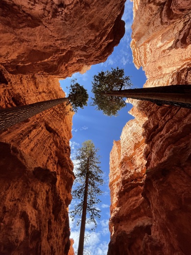 Bryce Canyon National Park