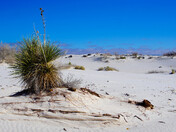 White Sands National Park