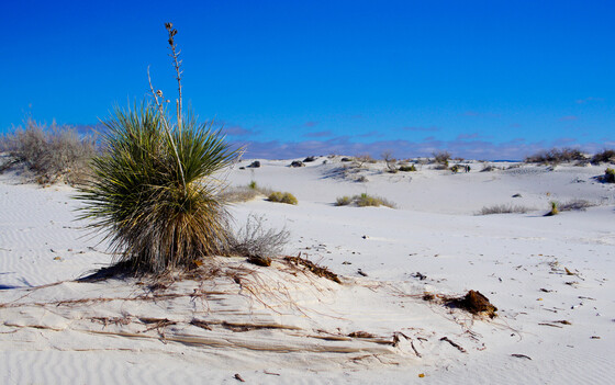 White Sands National Park