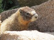 Rocky Mountain National Park
