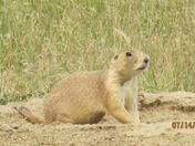 Wind Cave National Park