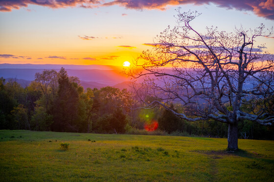 Shenandoah National Park