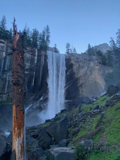 Yosemite National Park 