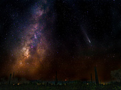 Saguaro National Park