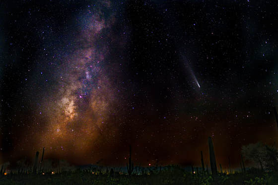Saguaro National Park