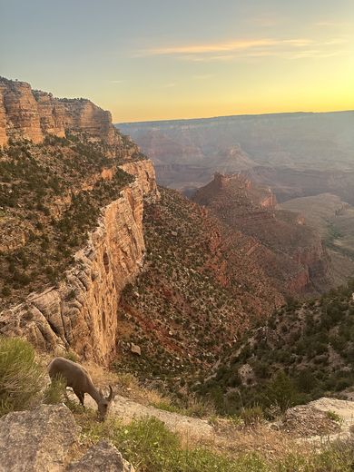 Grand Canyon National Park