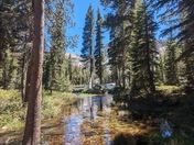 Yosemite National Park