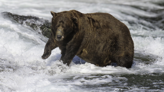 Katmai National Park and Preserve