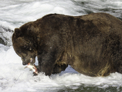 Katmai National Park and Preserve