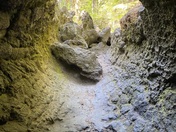 Gifford Pinchot National Forest