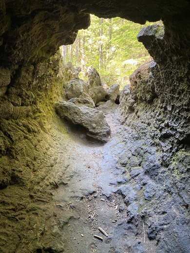Gifford Pinchot National Forest