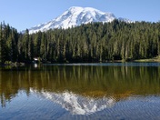 Ranier National Park