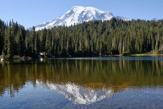 Ranier National Park