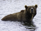 Katmai National Park and Preserve