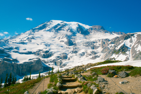 Mount Rainier National Park