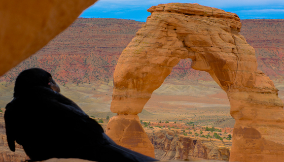 Arches National Park