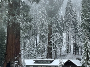 Sequoia National Park