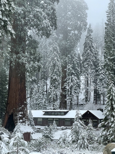 Sequoia National Park
