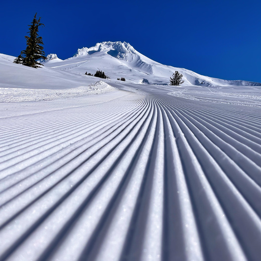 Mount Hood National Forest
