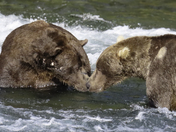 Katmai National Park and Preserve