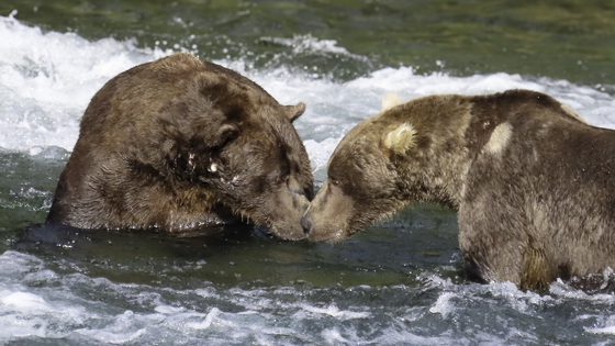 Katmai National Park and Preserve