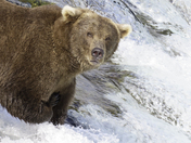 Katmai National Park and Preserve