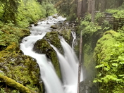Olympic National Park