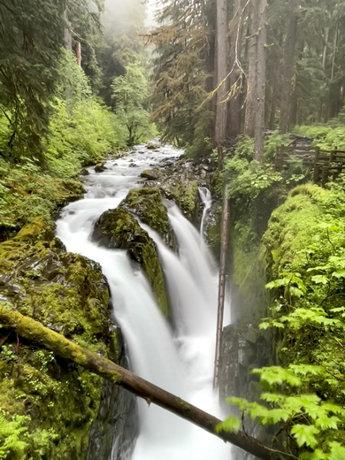 Olympic National Park