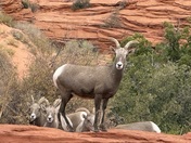 North Coyote Buttes, Paria Canyon-Vermilion Cliffs Wilderness