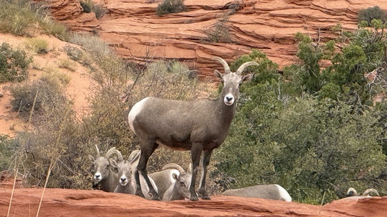 North Coyote Buttes, Paria Canyon-Vermilion Cliffs Wilderness
