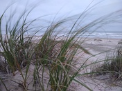Padre Island National Seashore