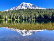 Mt Rainier National Park