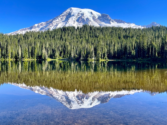 Mt Rainier National Park