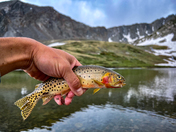 White River National Forest 
