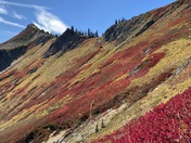 Okanogan-Wenatchee National Forest