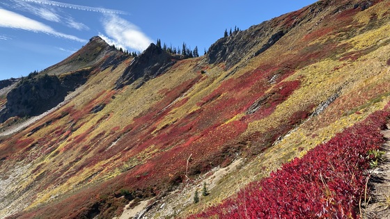 Okanogan-Wenatchee National Forest