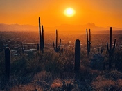 Coronado National Forest 