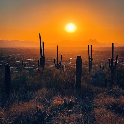 Coronado National Forest 