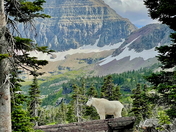 Glacier National Park