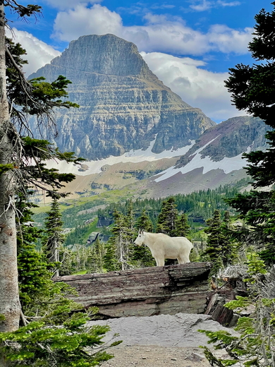 Glacier National Park