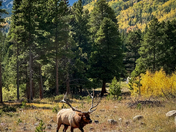 Rocky Mountain National Park