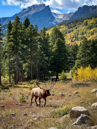Rocky Mountain National Park